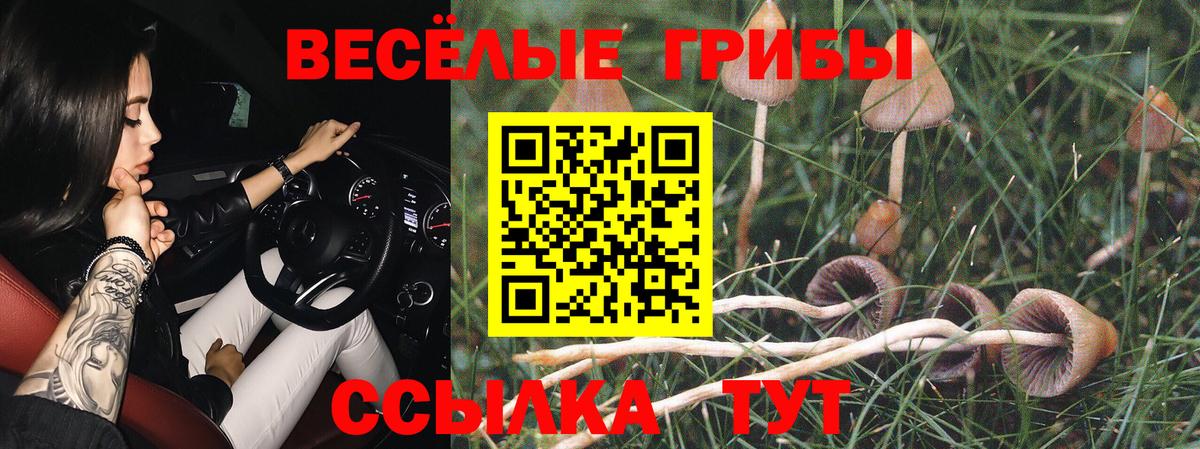 Псилоцибиновые грибы мухоморы  Вход с VPN  Сунжа 