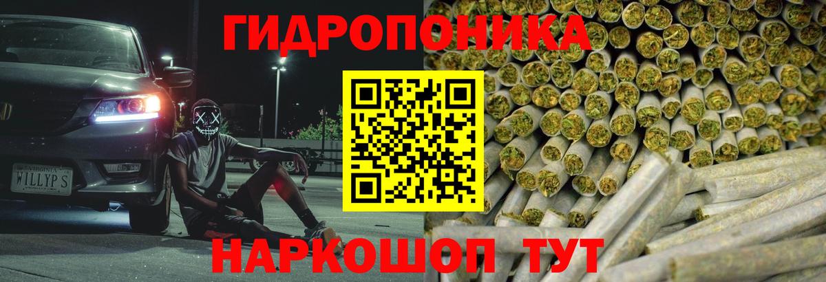 Канабис гибрид  МАРИХУАНА сатива  Сунжа  Вход с VPN  Каннабис сатива 
